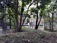 20151030_112156