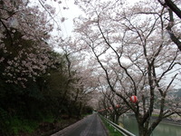 DSCF0910