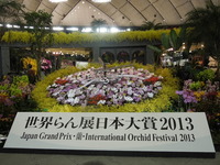 DSCN9928