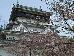 RIMG0193