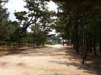 20130828_132505