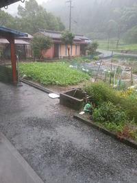 20160628_171208