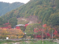 DSCN1234