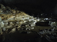 DSCN5704