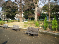 IMGP1227