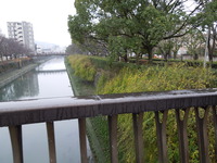 DSCN4498