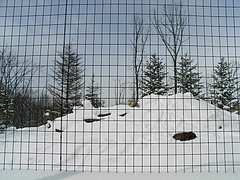 RIMG0244