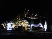 20161127_185441