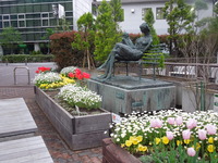 DSCN8647