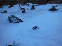 DSCN1940