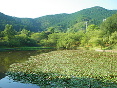 IMGP3879