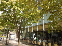 DSCN9655