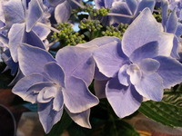 20150523_180145