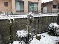 20170124_083731