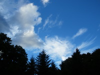 IMGP0309