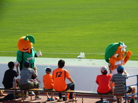 DSCF9532