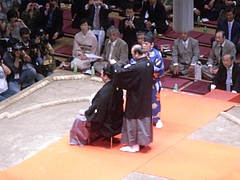 RIMG0048
