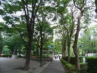 RIMG0009