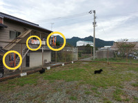 BlogPaint