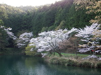 DSCF1344