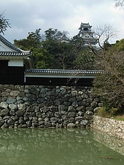 RIMG0131