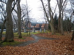 IMGP5677