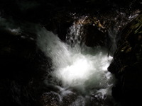 DSCF7392