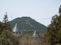DSCN6170