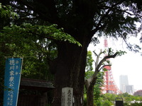 DSCN0398