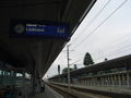 RIMG0136