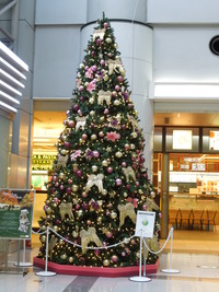 DSCN1470