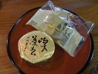 DSCN5602