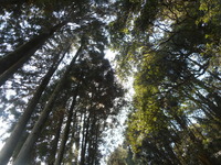 DSCN0819