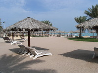 RIMG0237