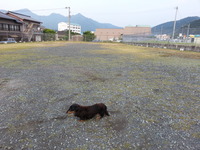 20160527_174547