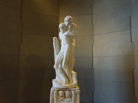 DSCN6550