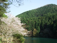 DSCF1266