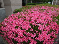 DSCN0695
