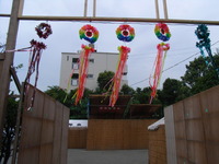 RIMG0521