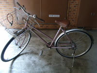 RIMG0061