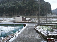 20170210_065922