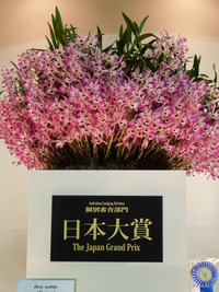 DSCN4665