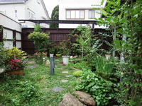 DSCF6181