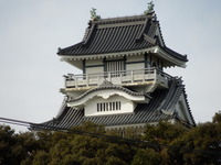 DSCN3649