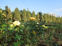 DSCN9865