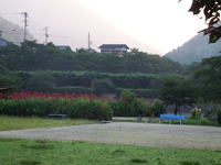 DSCF3217