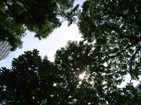 RIMG0026