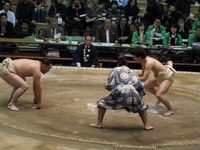 DSCN1053