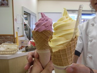 RIMG0828