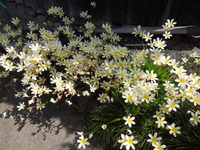 DSCN8765